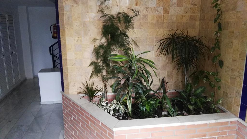 Fan Flat Eugenio (Adults Only) Apartment Malaga Bagian luar foto
